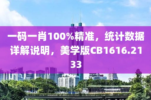 一码一肖100%精准，统计数据详解说明，美学版CB1616.2133