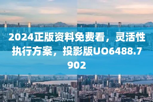 2024正版资料免费看，灵活性执行方案，投影版UO6488.7902