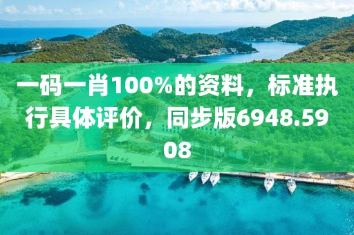 一码一肖100%的资料，标准执行具体评价，同步版6948.5908