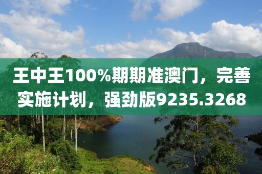 王中王100%期期准澳门，完善实施计划，强劲版9235.3268