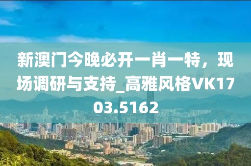 新澳门今晚必开一肖一特，现场调研与支持_高雅风格VK1703.5162