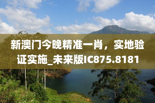 新澳门今晚精准一肖，实地验证实施_未来版IC875.8181