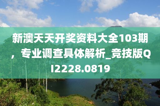 新澳天天开奖资料大全103期，专业调查具体解析_竞技版QI2228.0819