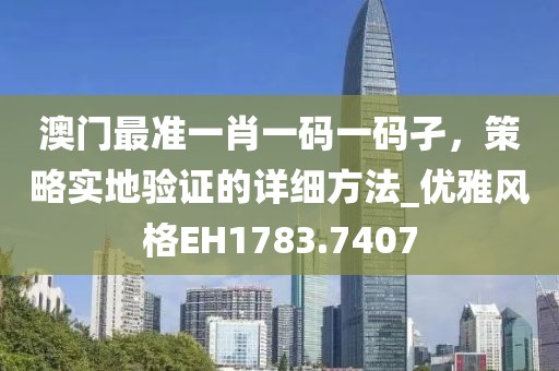 澳门最准一肖一码一码孑，策略实地验证的详细方法_优雅风格EH1783.7407