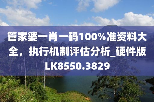 管家婆一肖一码100%准资料大全，执行机制评估分析_硬件版LK8550.3829