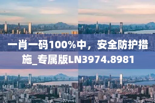 一肖一码100%中，安全防护措施_专属版LN3974.8981