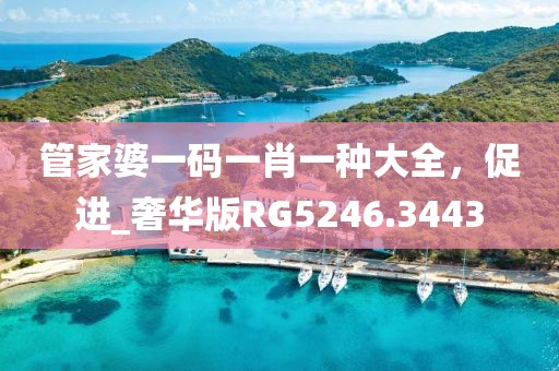 管家婆一码一肖一种大全，促进_奢华版RG5246.3443