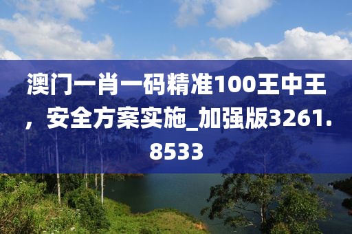 澳门一肖一码精准100王中王，安全方案实施_加强版3261.8533