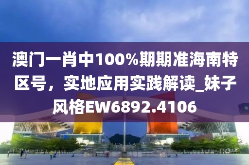 澳门一肖中100%期期准海南特区号，实地应用实践解读_妹子风格EW6892.4106