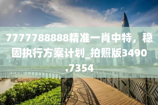 7777788888精准一肖中特，稳固执行方案计划_拍照版3490.7354