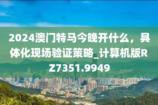 2024澳门特马今晚开什么，具体化现场验证策略_计算机版RZ7351.9949