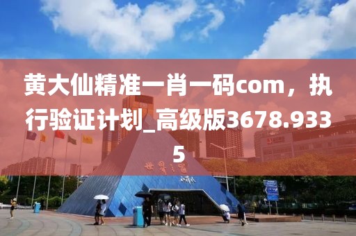 黄大仙精准一肖一码com，执行验证计划_高级版3678.9335