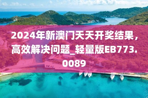 2024年新澳门天天开奖结果，高效解决问题_轻量版EB773.0089