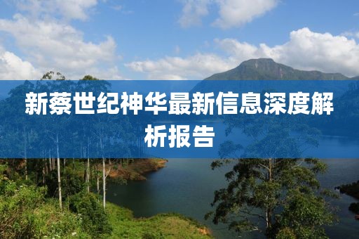 新蔡世纪神华最新信息深度解析报告