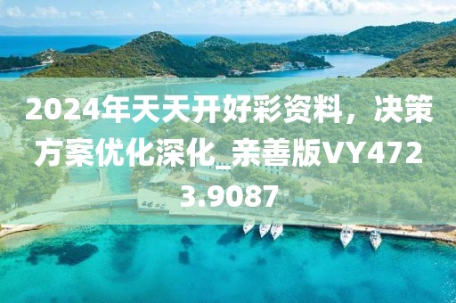 2024年天天开好彩资料，决策方案优化深化_亲善版VY4723.9087