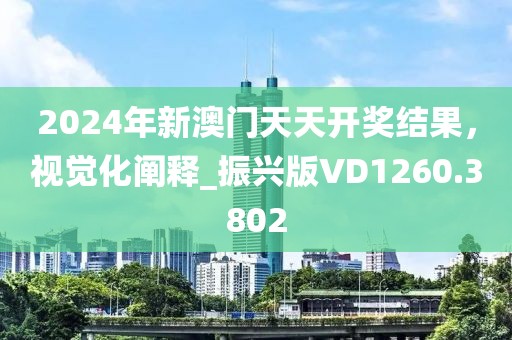 2024年新澳门天天开奖结果，视觉化阐释_振兴版VD1260.3802