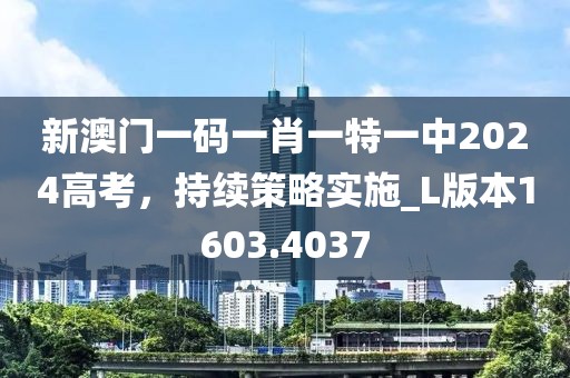 新澳门一码一肖一特一中2024高考，持续策略实施_L版本1603.4037