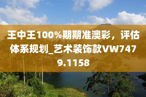 王中王100%期期准澳彩，评估体系规划_艺术装饰款VW7479.1158