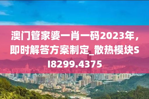 澳门管家婆一肖一码2023年，即时解答方案制定_散热模块SI8299.4375