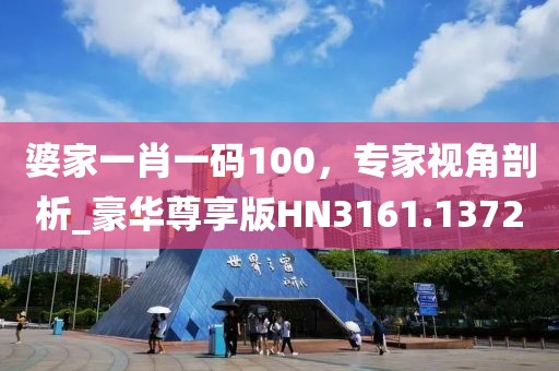 婆家一肖一码100，专家视角剖析_豪华尊享版HN3161.1372