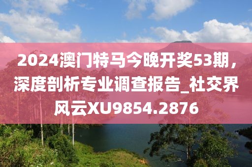 2024澳门特马今晚开奖53期，深度剖析专业调查报告_社交界风云XU9854.2876