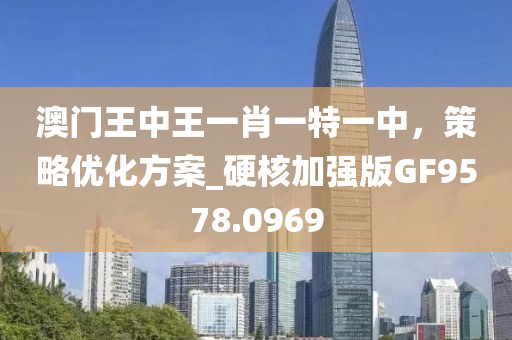 澳门王中王一肖一特一中，策略优化方案_硬核加强版GF9578.0969