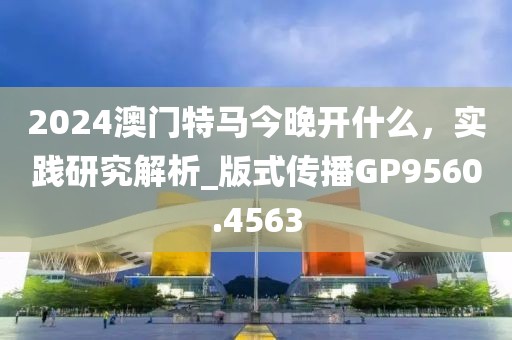 2024澳门特马今晚开什么，实践研究解析_版式传播GP9560.4563