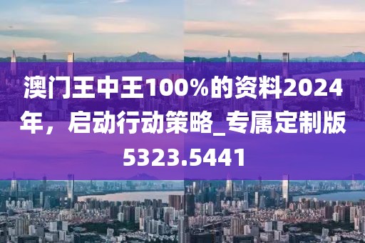 澳门王中王100%的资料2024年，启动行动策略_专属定制版5323.5441