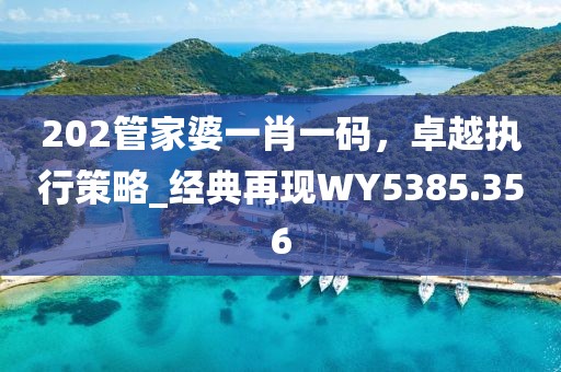 202管家婆一肖一码，卓越执行策略_经典再现WY5385.356