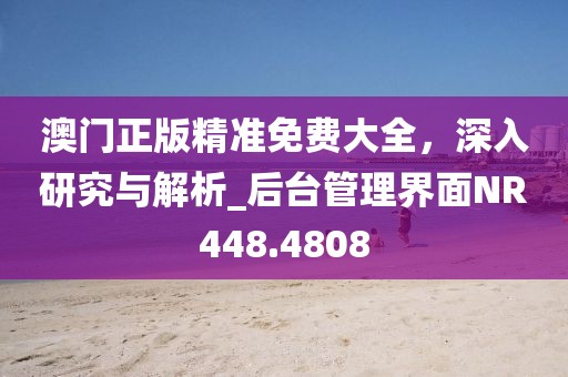 澳门正版精准免费大全，深入研究与解析_后台管理界面NR448.4808