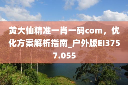 黄大仙精准一肖一码com，优化方案解析指南_户外版EI3757.055