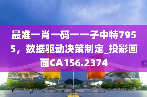 最准一肖一码一一子中特7955，数据驱动决策制定_投影画面CA156.2374