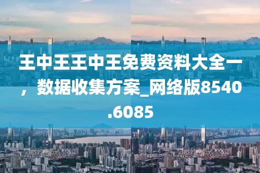 王中王王中王免费资料大全一，数据收集方案_网络版8540.6085