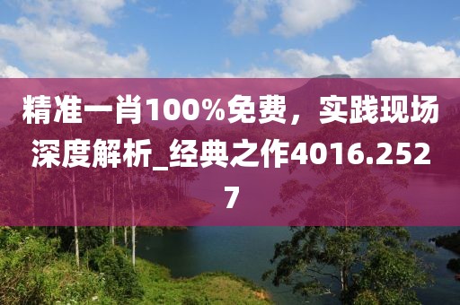 精准一肖100%免费，实践现场深度解析_经典之作4016.2527