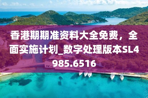 香港期期准资料大全免费，全面实施计划_数字处理版本SL4985.6516