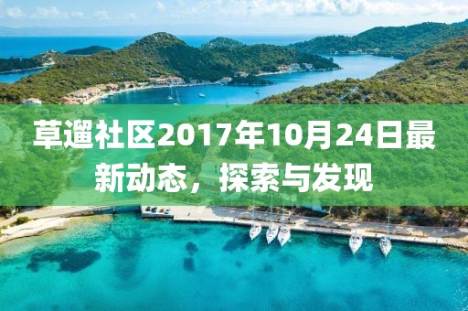 草遛社区2017年10月24日最新动态，探索与发现