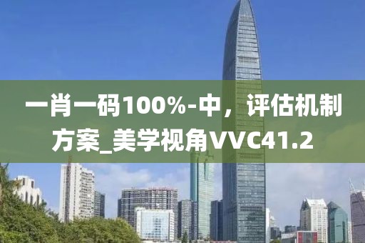 一肖一码100%-中，评估机制方案_美学视角VVC41.2