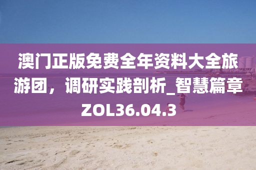 澳门正版免费全年资料大全旅游团，调研实践剖析_智慧篇章ZOL36.04.3