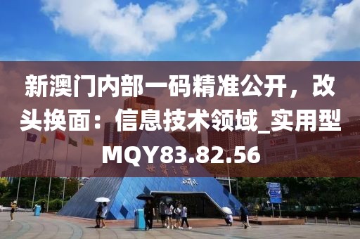 新澳门内部一码精准公开，改头换面：信息技术领域_实用型MQY83.82.56