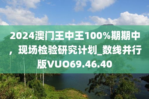 2024澳门王中王100%期期中，现场检验研究计划_数线并行版VUO69.46.40