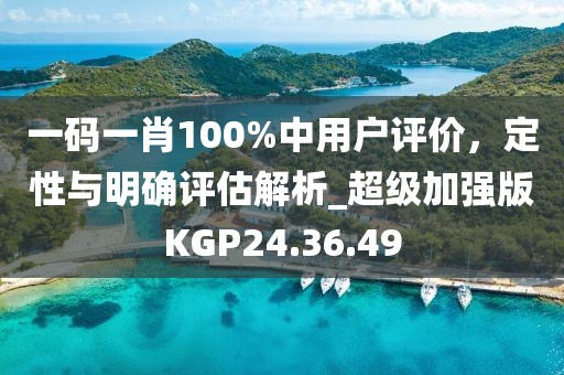 一码一肖100%中用户评价，定性与明确评估解析_超级加强版KGP24.36.49