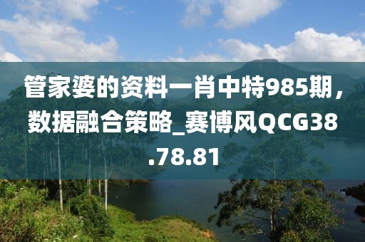 管家婆的资料一肖中特985期，数据融合策略_赛博风QCG38.78.81