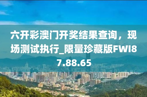 六开彩澳门开奖结果查询，现场测试执行_限量珍藏版FWI87.88.65