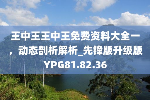 王中王王中王免费资料大全一，动态剖析解析_先锋版升级版YPG81.82.36