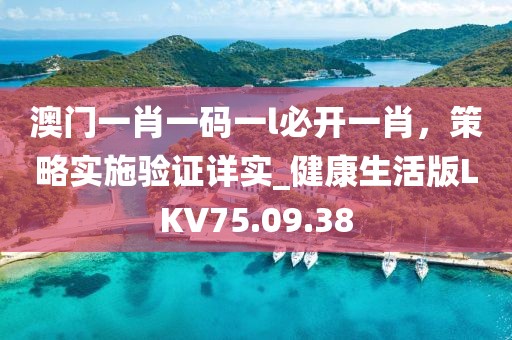 澳门一肖一码一l必开一肖，策略实施验证详实_健康生活版LKV75.09.38