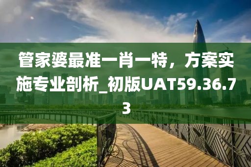 管家婆最准一肖一特，方案实施专业剖析_初版UAT59.36.73