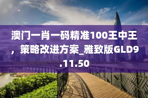 澳门一肖一码精准100王中王，策略改进方案_雅致版GLD9.11.50