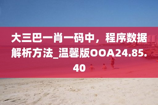 大三巴一肖一码中，程序数据解析方法_温馨版OOA24.85.40