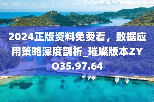 2024正版资料免费看，数据应用策略深度剖析_璀璨版本ZYO35.97.64