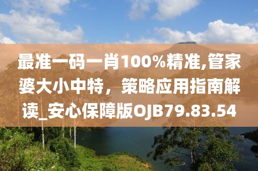 最准一码一肖100%精准,管家婆大小中特，策略应用指南解读_安心保障版OJB79.83.54